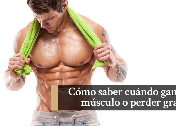 Cuando ganar musculo o perder grasa