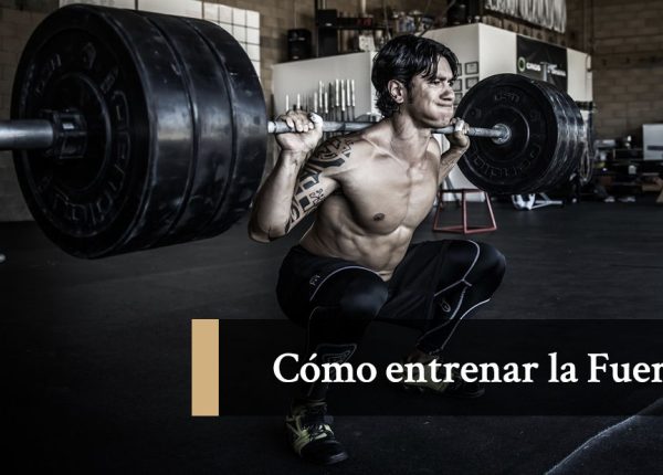 Cómo entrenar la fuerza