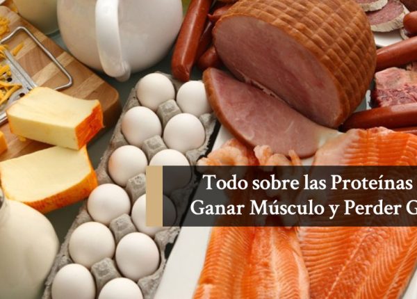 Dieta para adelgazar rapido: ¿qué proteínas debes consumir diariamente?